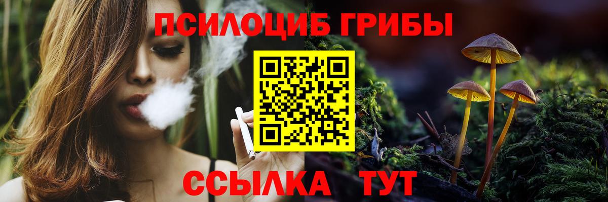 Псилоцибиновые грибы Cubensis Рузаевка